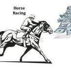 The Economics of Horse Racing